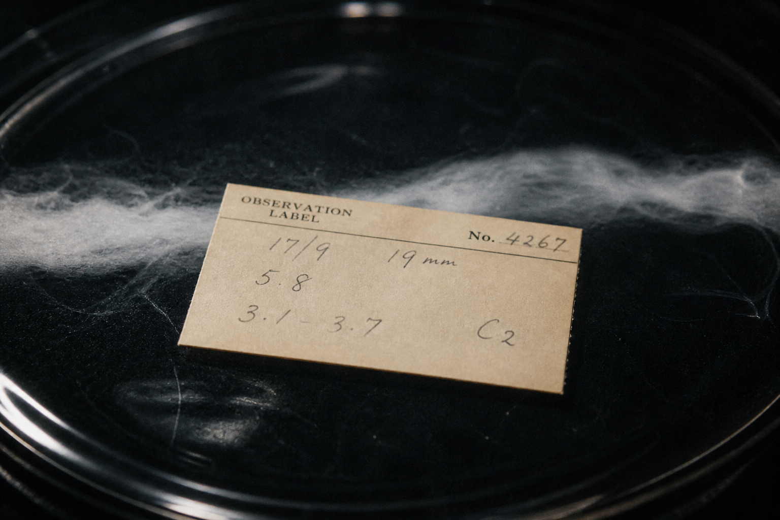 Cream exposure label on dark observation glass